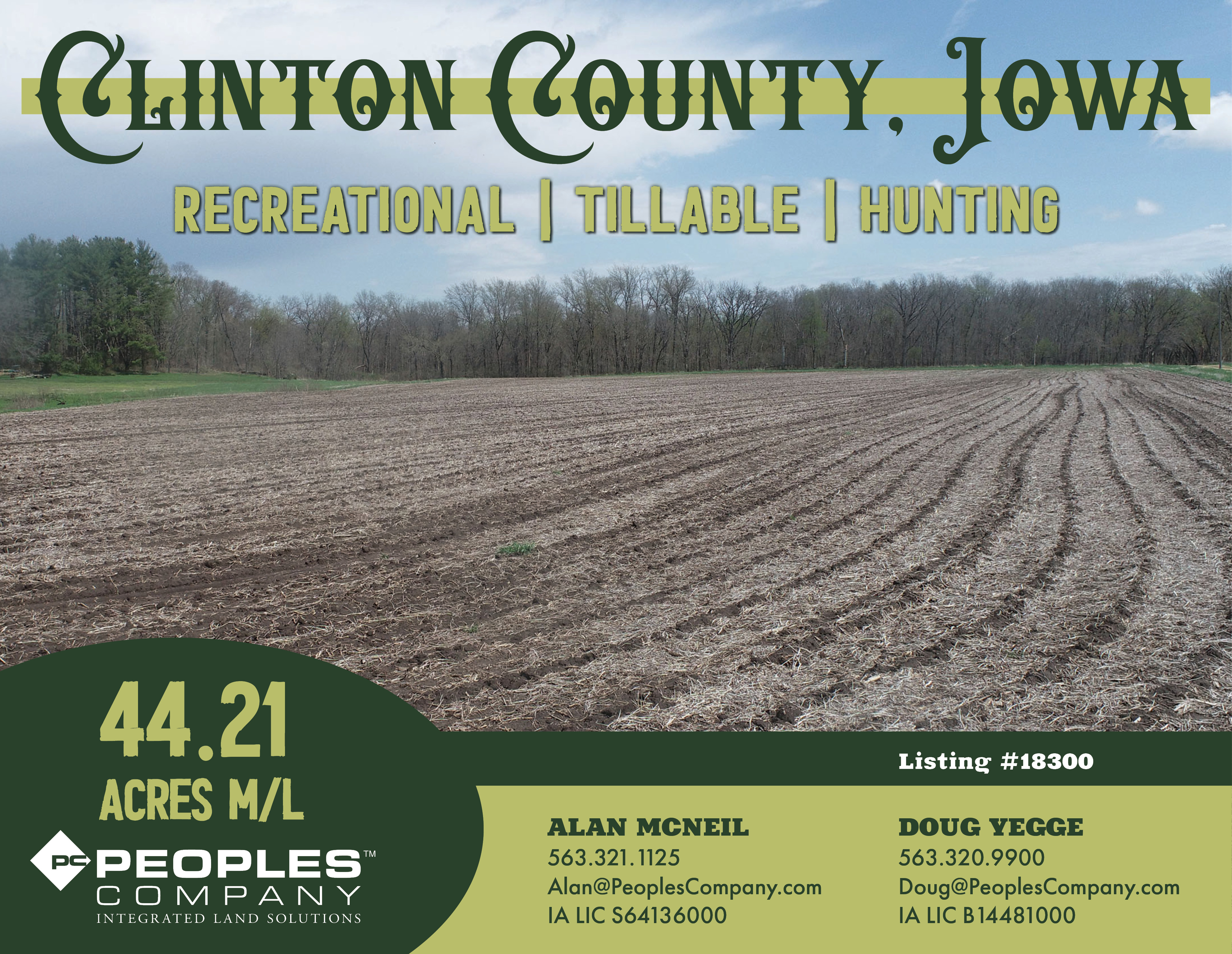 Listing #18300